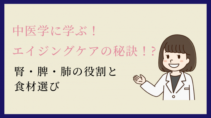 中医学に学ぶ！エイジングケアの秘訣！腎・脾・肺の役割と食材選び