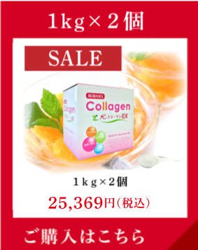 歳末SALE  1kg×2個 お得な大容量タイプ 1kg×2個 25,369円（税込）